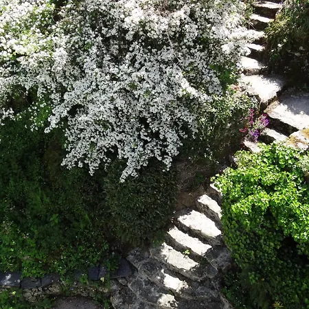 Oda ve Kahvaltı Au Moulin Geant