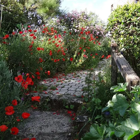 Au Moulin Geant Oda ve Kahvaltı