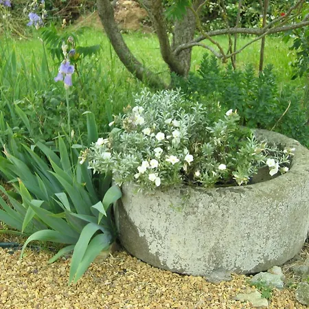 Oda ve Kahvaltı Au Moulin Geant 3*