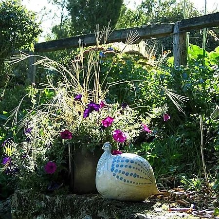 Au Moulin Geant Bed & Breakfast