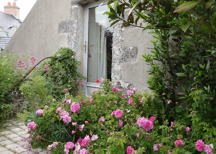 Au Moulin Geant Rochefort-sur-Loire