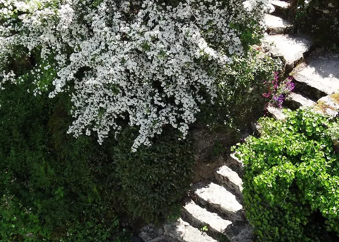 Bed & Breakfast Au Moulin Geant