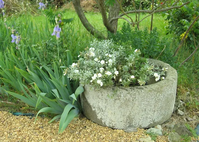 B&B Au Moulin Geant 3*